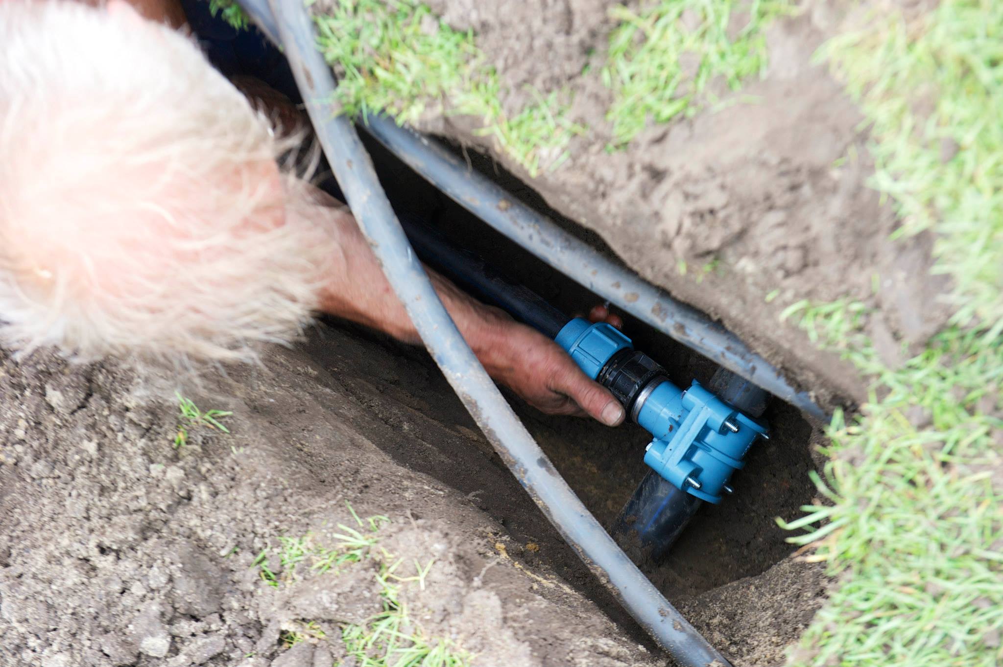 Beregeningsinstallatie Go Ahead Eagles 5