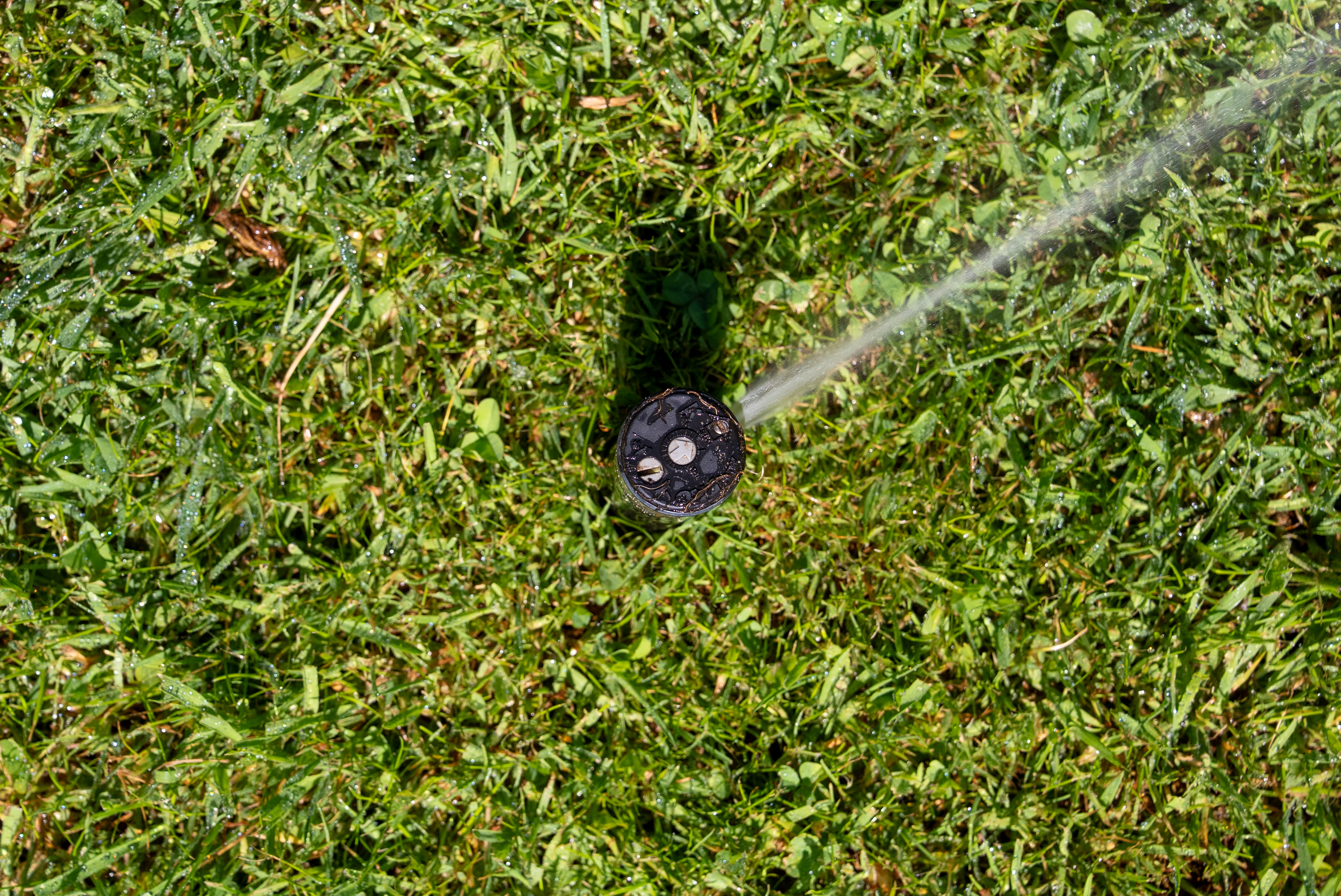 Automatische beregening Raalte – overzicht van de groene tuin