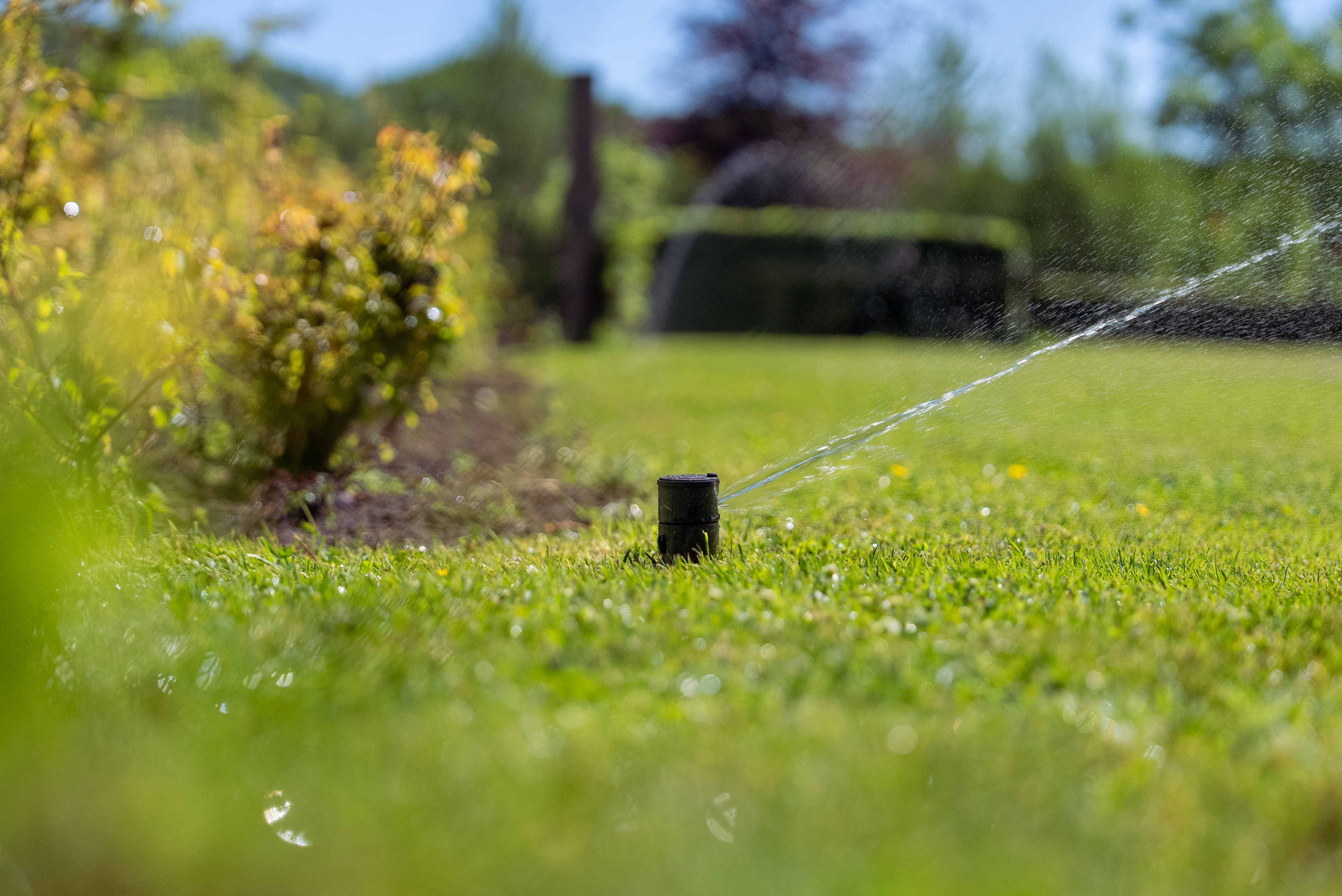 Automatische beregening Raalte – groene buitenruimte met beregening
