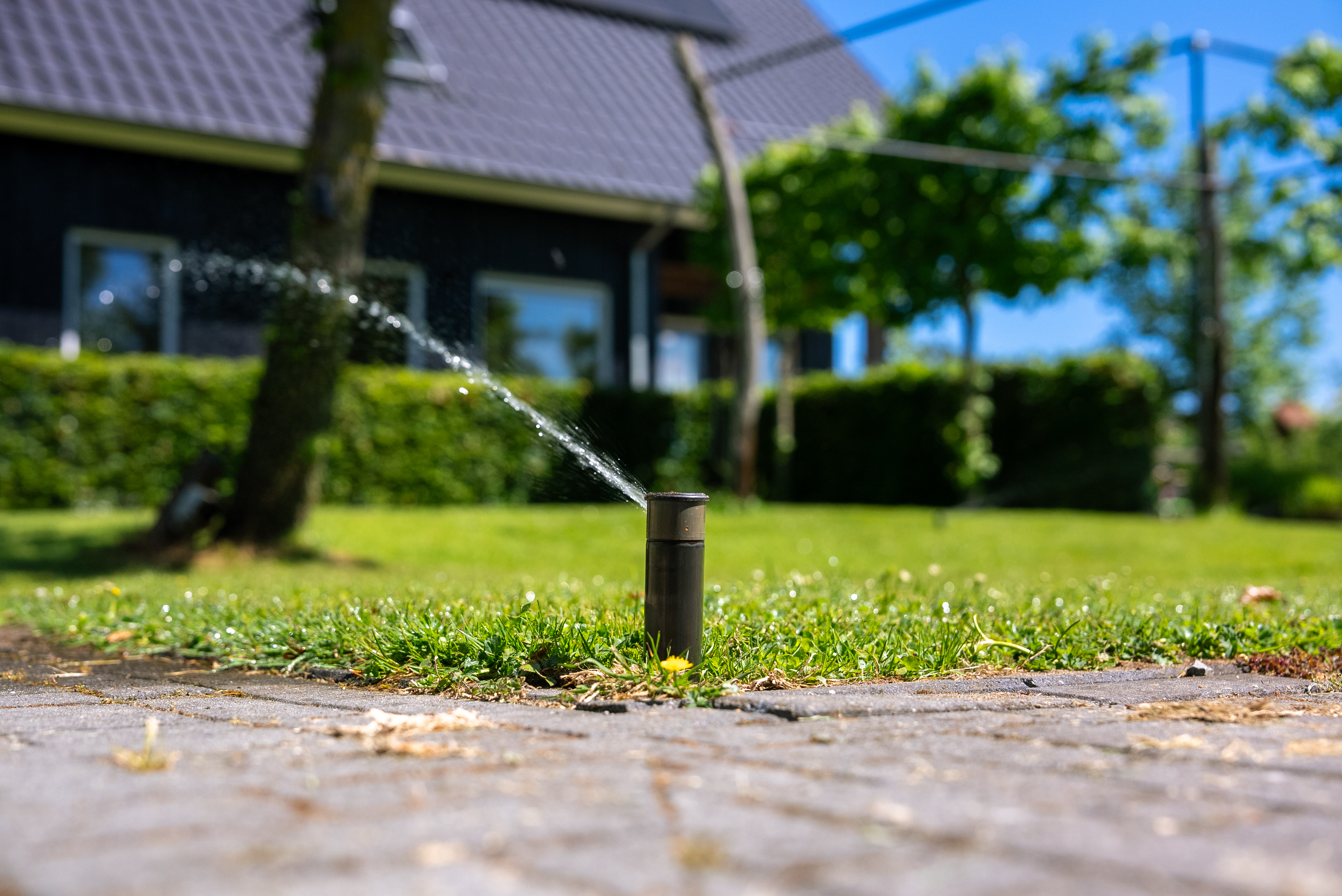 Automatische beregening Raalte – volgroeide tuin na aanleg