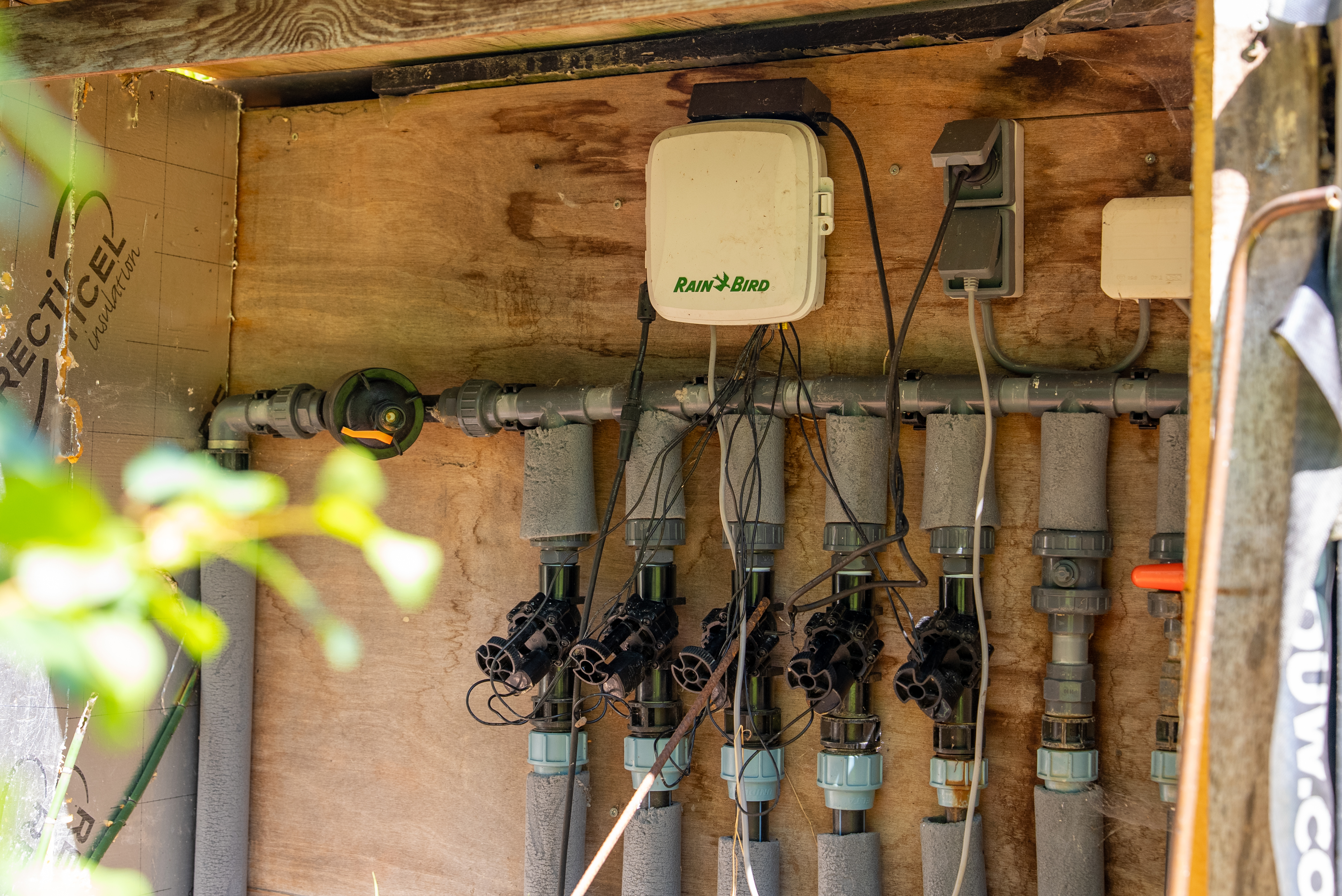 Automatische beregening Raalte – detail van de tuinbeplanting