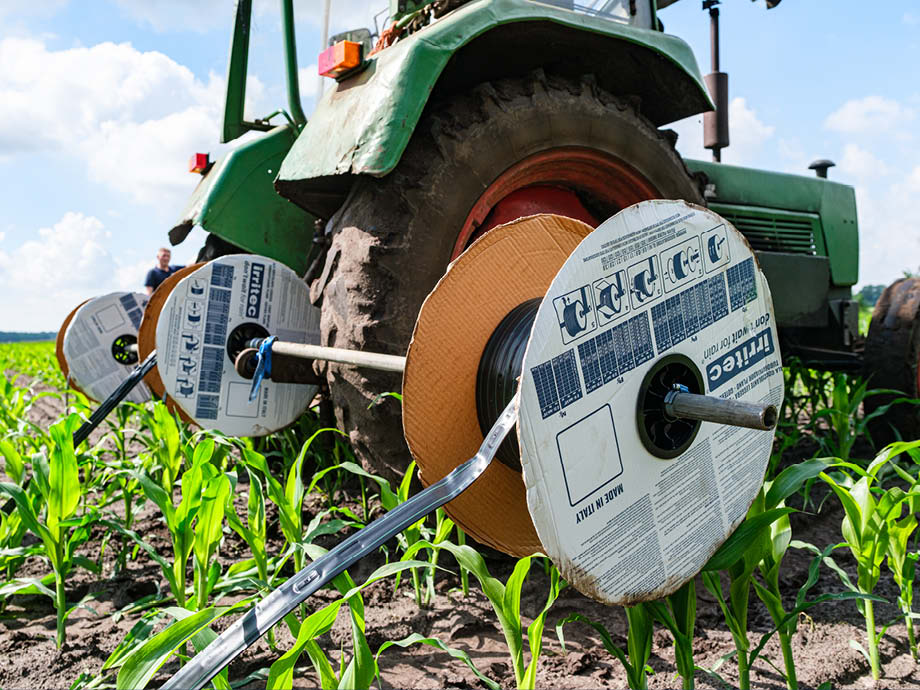 Testproject drip-irrigatie – beeld 1