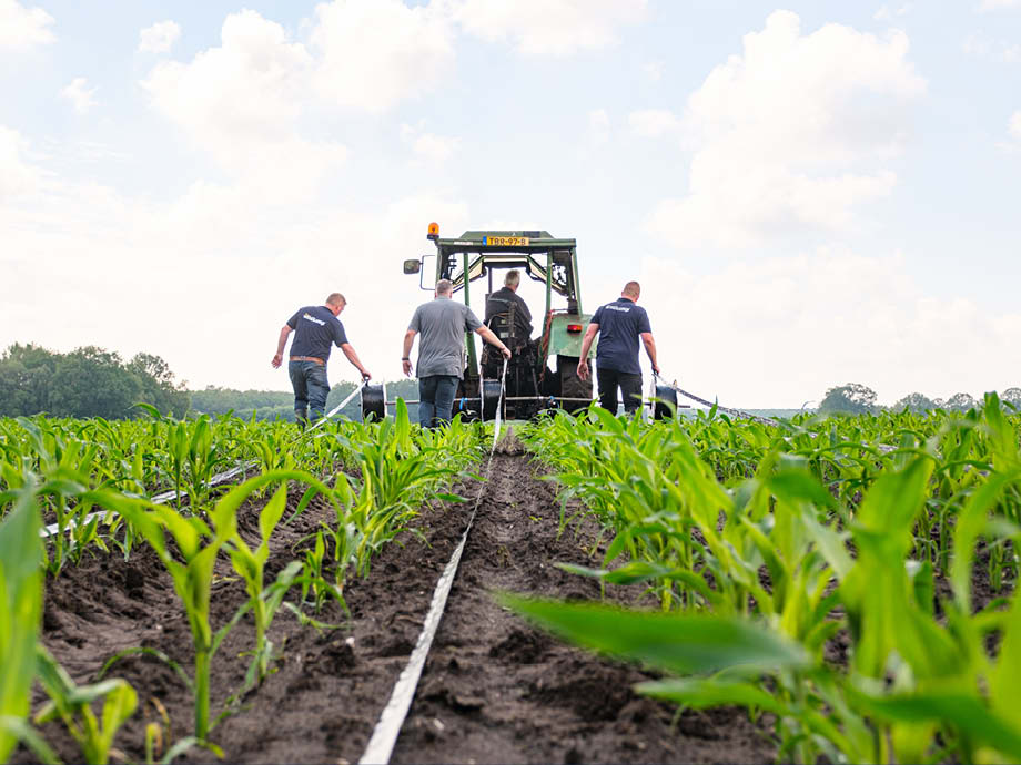 Testproject drip-irrigatie – beeld 4