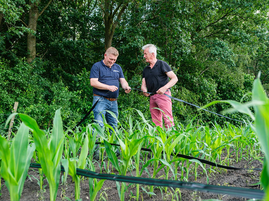 Testproject drip-irrigatie – beeld 5