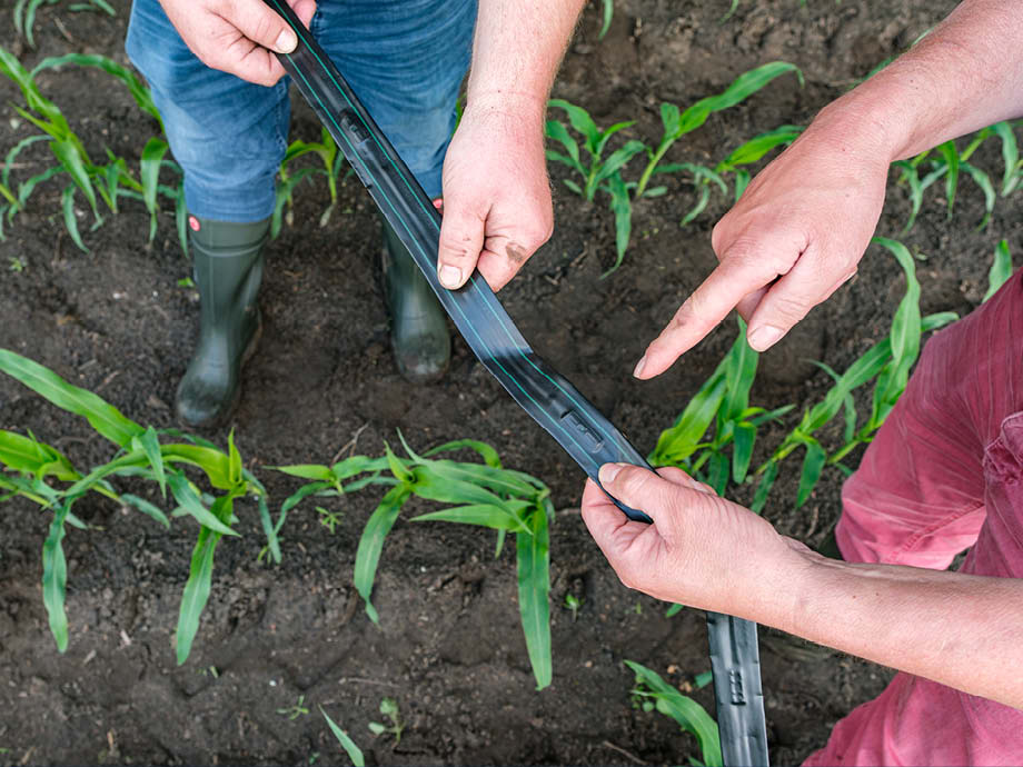 Testproject drip-irrigatie – beeld 6