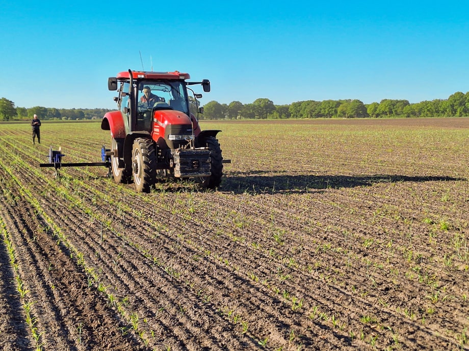 Drip-irrigatie in het veld – aanzicht 2