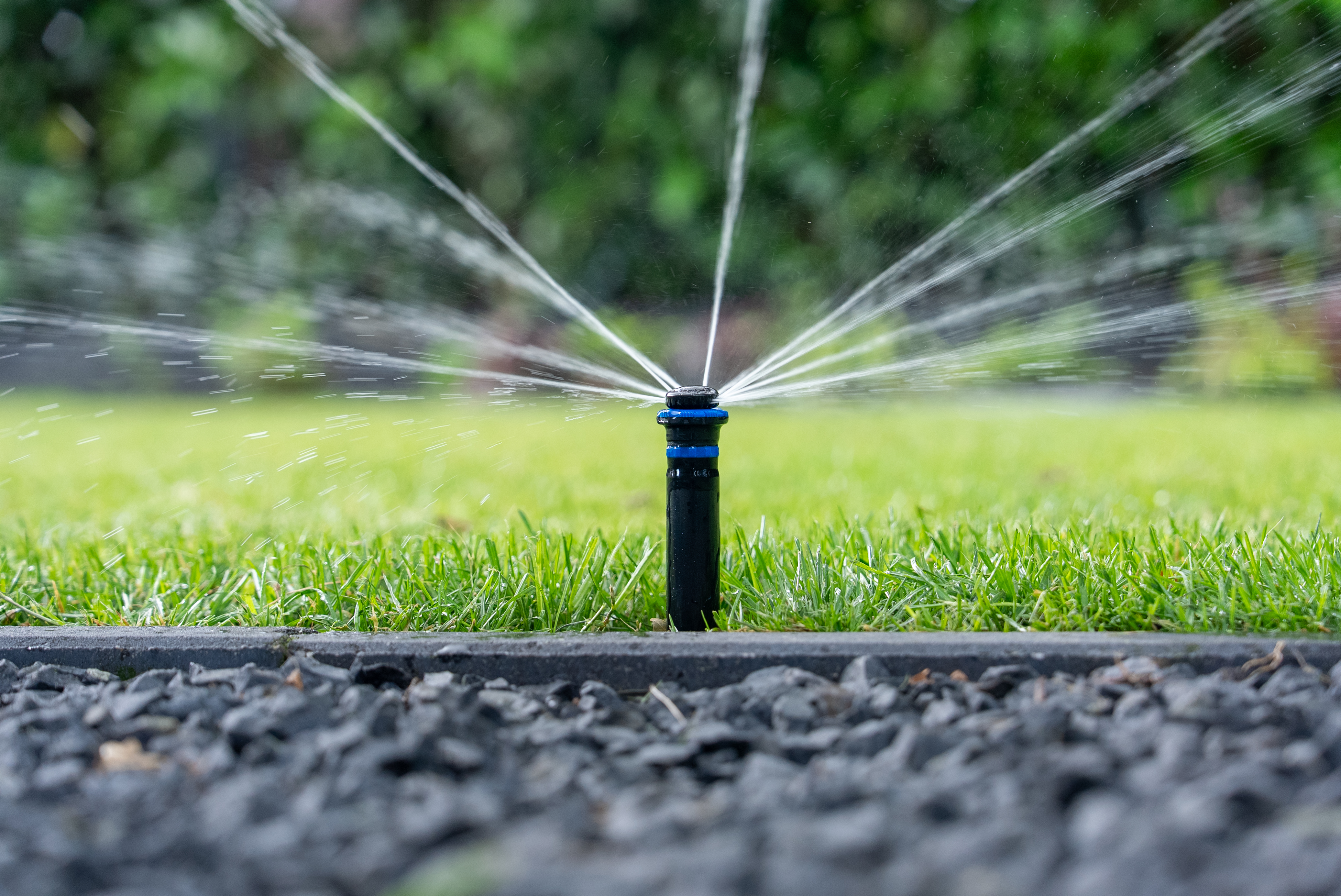 Groene tuin met automatische beregening in IJhorst