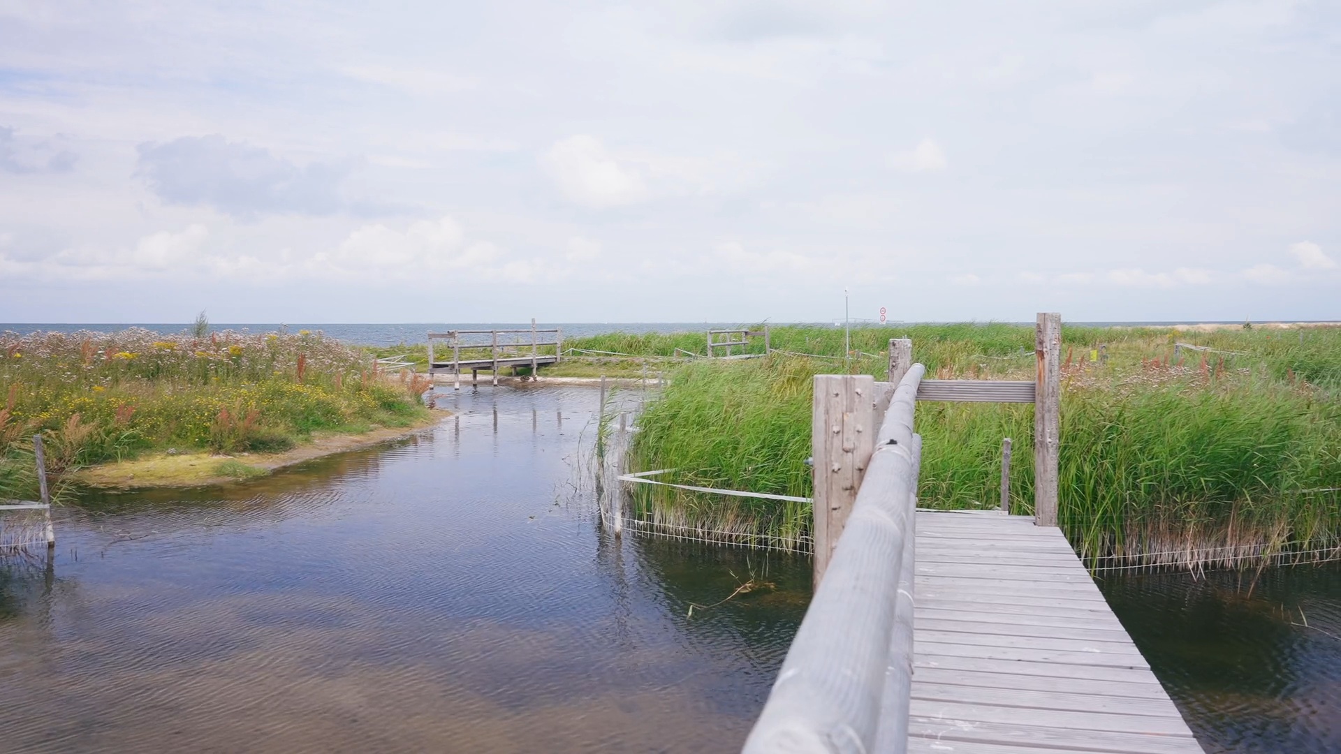 Onderdelen van de natuurlijke waterzuiveringsinstallatie van Wetlantec en PWN