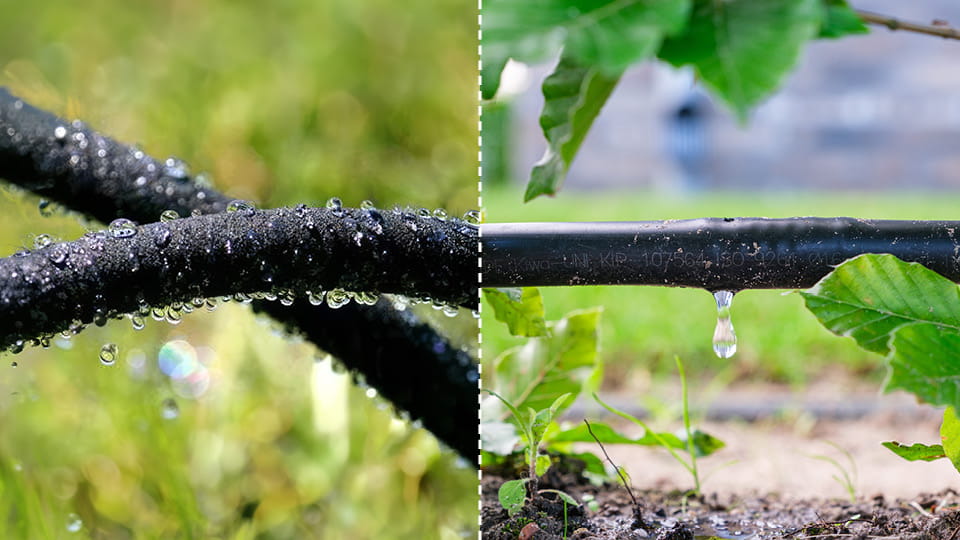 Druppelslang en zweetslang vergelijking in natuurlijke omgeving