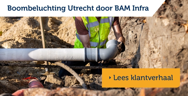 Gezonde bomen in Utrecht