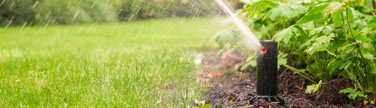 Kenniscentrum: Beregening