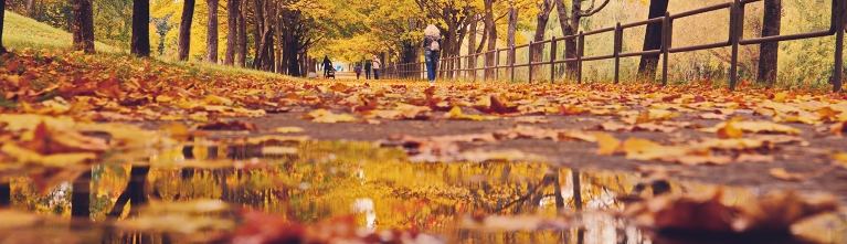 Kom verder dit najaar