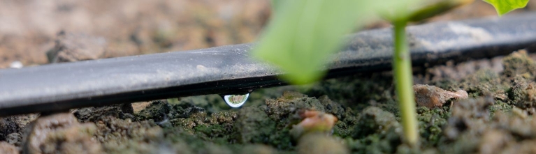 Driptape Groeituin Empatec