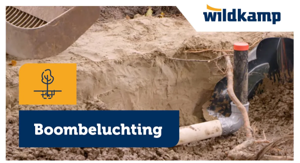 Boombeluchting gemeente Groningen