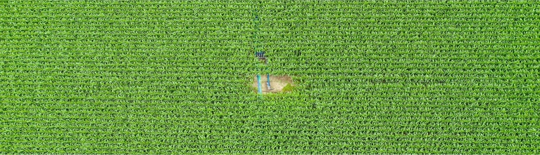 Testproject Driptape in Witharen