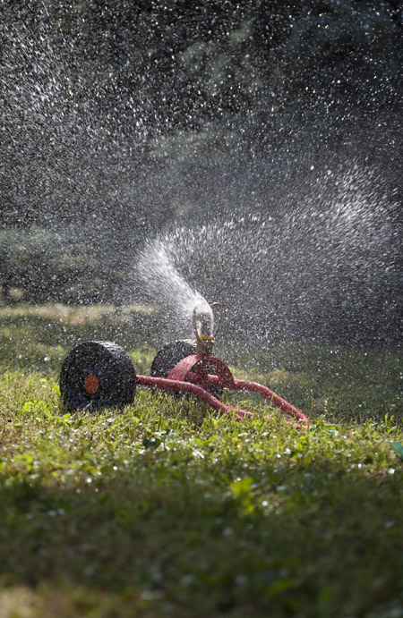 Drastisch Interpretatief extase Sproeiers bestellen | Wildkamp.nl