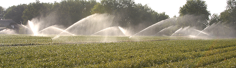 Hand- & pistoolsproeiers