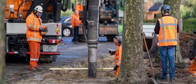 Rawinso boombeluchting | Gemeente Groningen