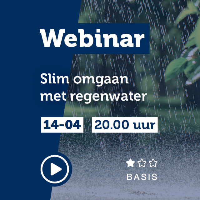 “webinar