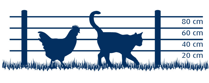 afrastering gevogelte & katten