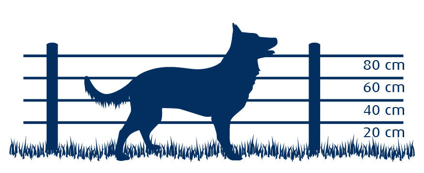 afrastering honden