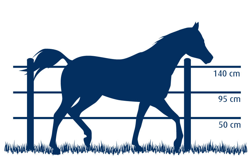 afrastering paarden