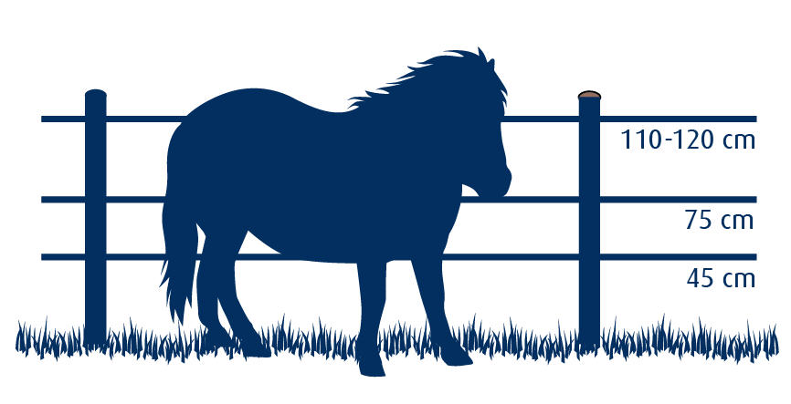 afrastering pony's