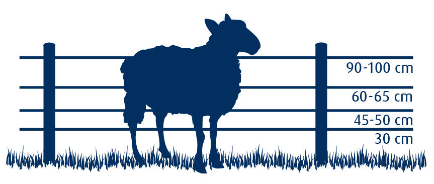afrastering schapen