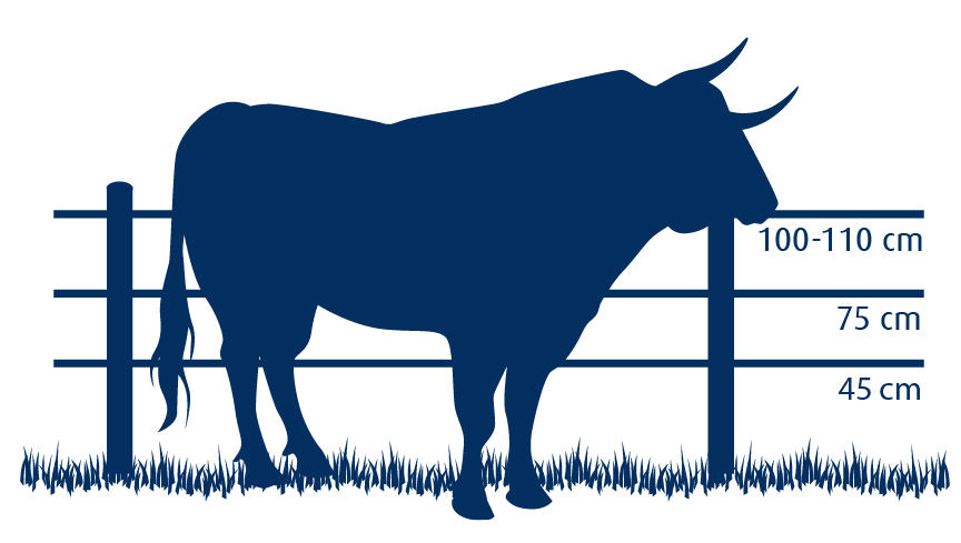 afrastering stier