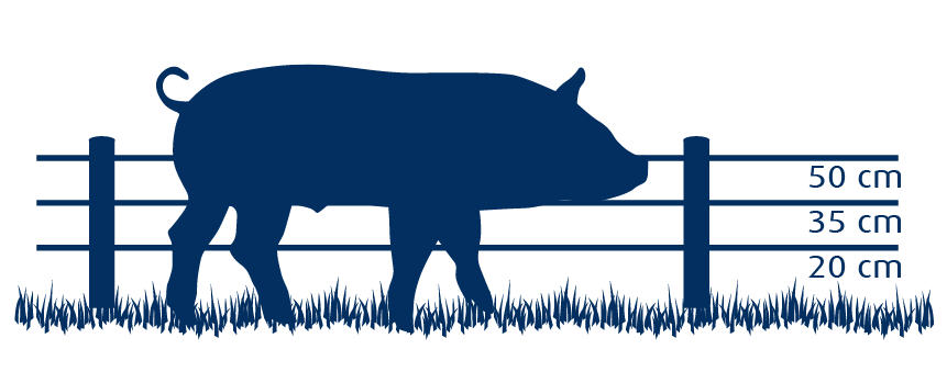 afrastering varkens